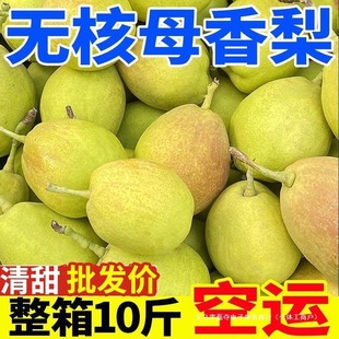 �����]���������r����ˮ�������ЋDˮ�����l�����鿴Ԕ��֧��