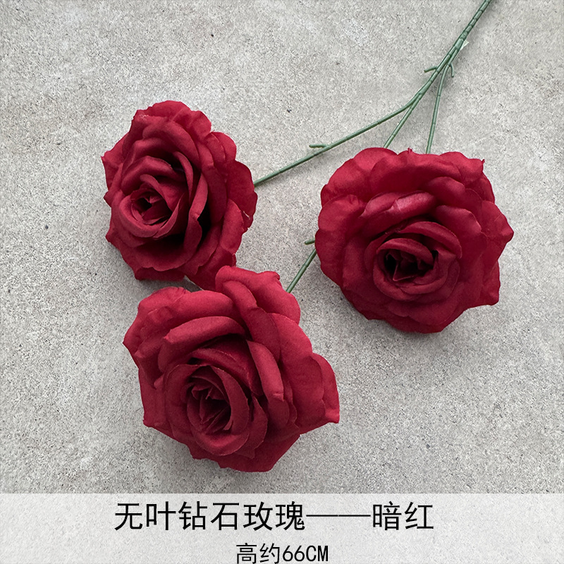 Rosa de diamante sin hojas-1