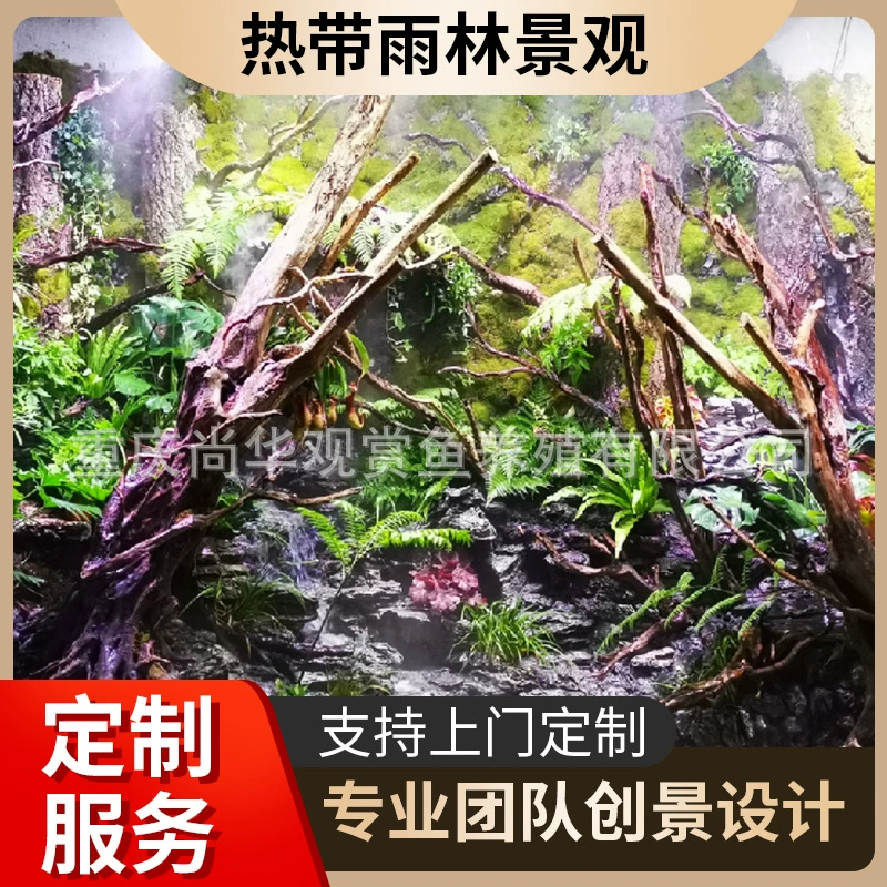 Большой экологический пейзаж Тропический тропический лес ландшафт Ландшафтный отель Клуб комнатные растения пейзаж Трава тропический лес танк