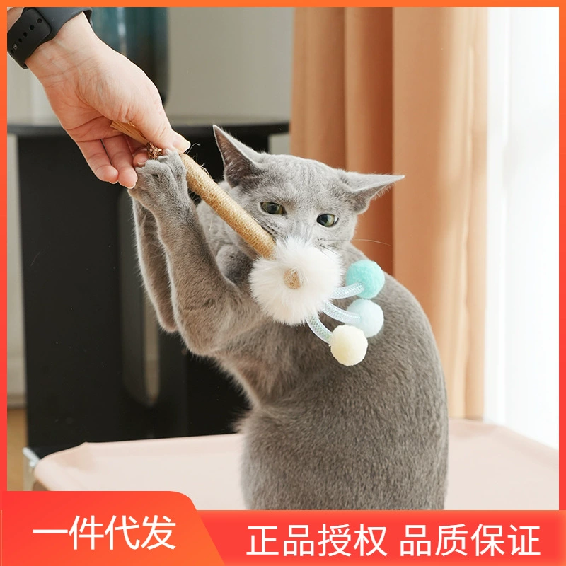 PawsHolic Claw Fans Polygonum Kappa Молярная палочка для чистки зубов Игрушка для кошек Саморазгрузочная кошачья мята Плюшевая забавная палочка для кошек
