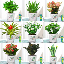 �G�}�lؔ����m��������ֲ���҃��������ȥ����ȩ����С�Gֲ���B