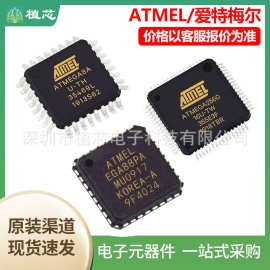 AT91SAM9G20B-CU 封装BGA217 微控制器 原装正品