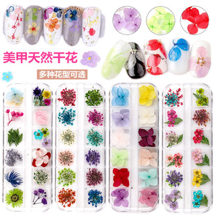 New Nail Art Natural Dried Flower Lace Stereo Plant Gypsophila Daffodils Japanese Series 12 Boxed Nail Jewelry
