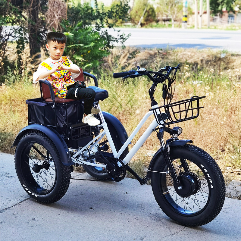 Electric three-wheeled bike pedalled