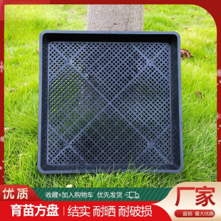 �Ӻ�ѿ������PѨ�Pѿ����бP����������l��ѿ��Nֲ�Ь����P