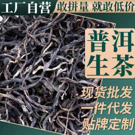 批发勐普春云南普洱茶生茶散茶500g陈年普洱茶叶普洱茶饼大叶种