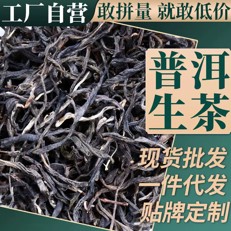 批发勐普春云南普洱茶生茶散茶500g陈年普洱茶叶普洱茶饼大叶种