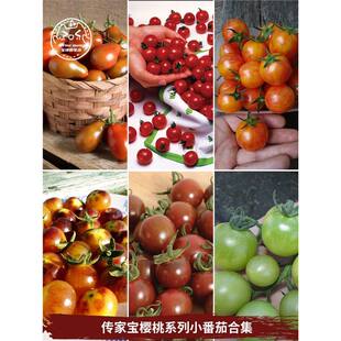 ���Ҍ�����С���ѷN�Ӻϼ������ٲ���������f������̫����_θ��