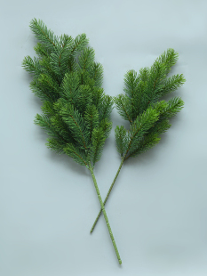 ɼ��֦���ɼ�t��ɼ��ɼ�}�Q�ɘ�֦����������b���ᘰؘ��~