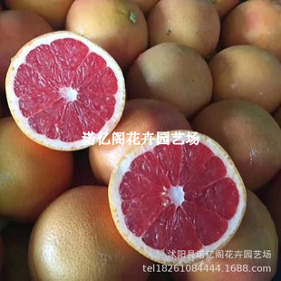 �޽Ӽt��������̨������������t��ʯ���֘����ϱ����Nֲ����Y��