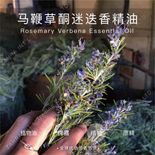  | ɄBioDynamicR޲ͪԵη