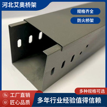 厂家直供防火桥架镀锌200*100槽式喷塑耐腐耐腐蚀热镀锌