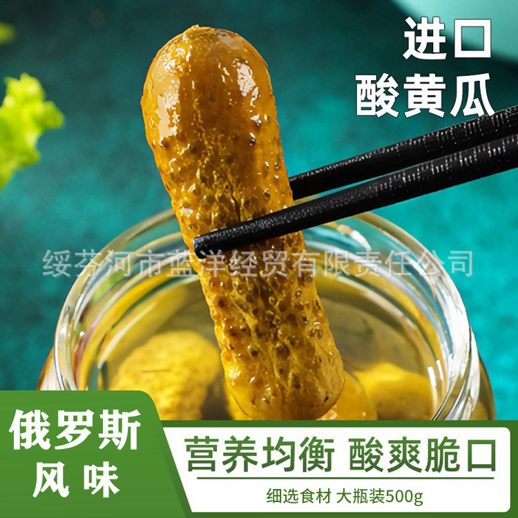 跨境现货供应酸黄瓜500g独立瓶装酸青瓜伏特加下饭菜汉堡脆口腌菜