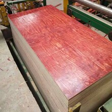 建筑工地木板广西中南神箭批发三六尺幅面宽易锯易钉不易劈裂