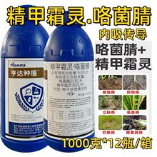 ��ˮ�����粡�󶹸������{ɫ��N�����_�N��63��/������˪�`����