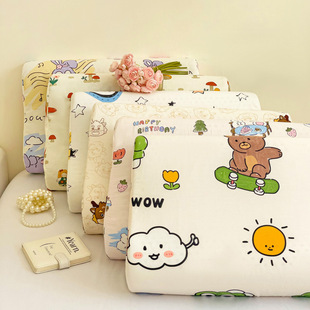 Ins Pure Cotton Latex Pillowcases Pair 40X60 Kidsren's Pillowcases Single 30×50 Cotton Pillow Core Liner Cover