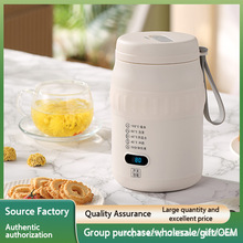 跨境便携式旅行电热水杯办公室家用迷你保温加热烧开水保温杯