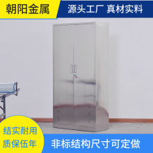 304不锈钢二门更衣柜多层摆放药柜带安全锁具办公室资料柜可定制