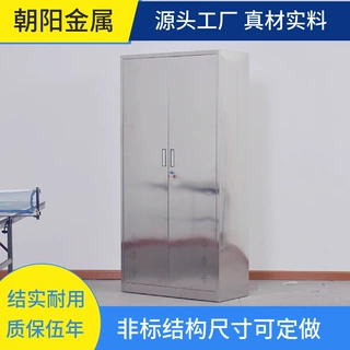 304不锈钢二门更衣柜多层摆放药柜带安全锁具办公室资料柜可定制