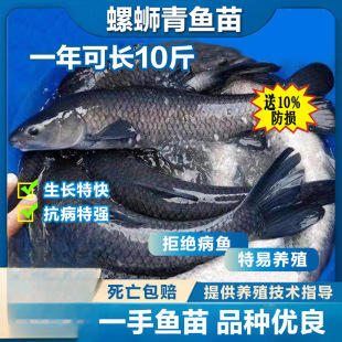 ���~�~�絭ˮ�Bֳʳ�ú����~�Ҟ�������ش���·���~������