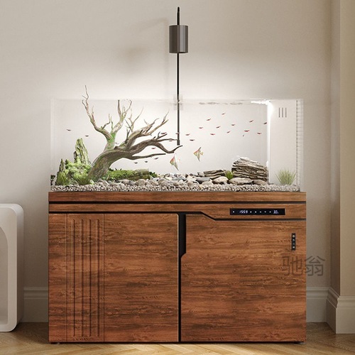 Luo Xi Stream Aquarium Fish Tank Large Living Room Home New Ultra White Glass Original Ecosystem Landscape Filtered Grass Tank