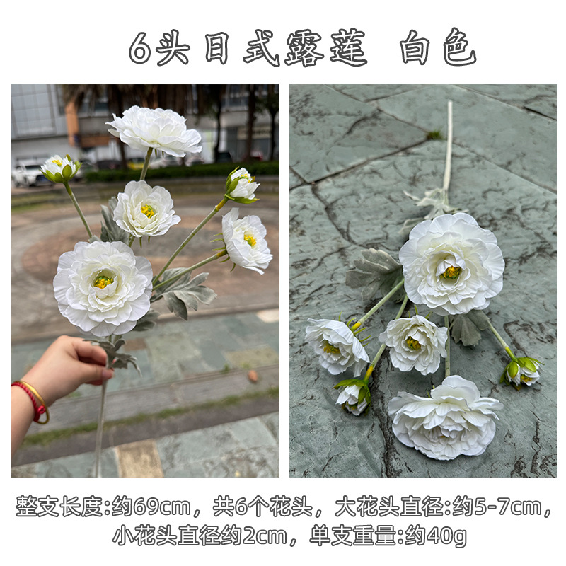 하얀색