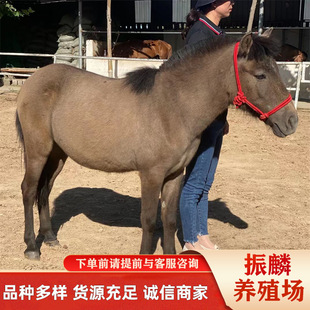 �Rƥ�Bֳ�����������R���^���R�R�x�r��Ѫ�R�B�R�� ���R����