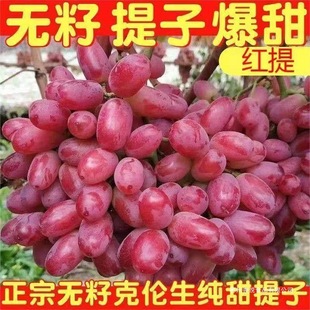 �o�Ѽt��˂�����������5��������rˮ�������������ЋDС��ˮ��