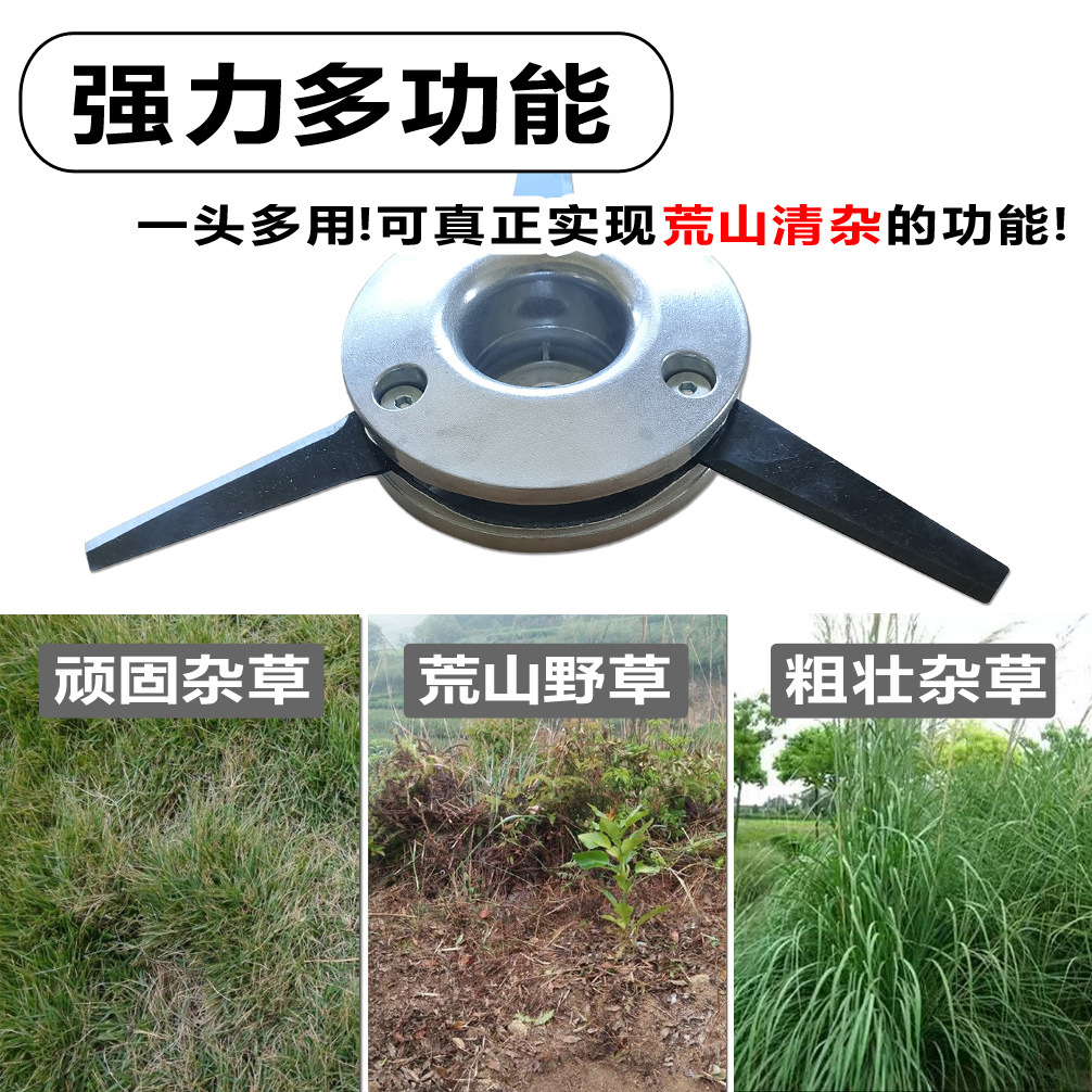 详情01.jpg