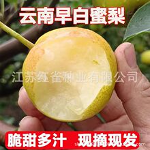 ���������С����N������۷����������rˮ�������𑪼�����