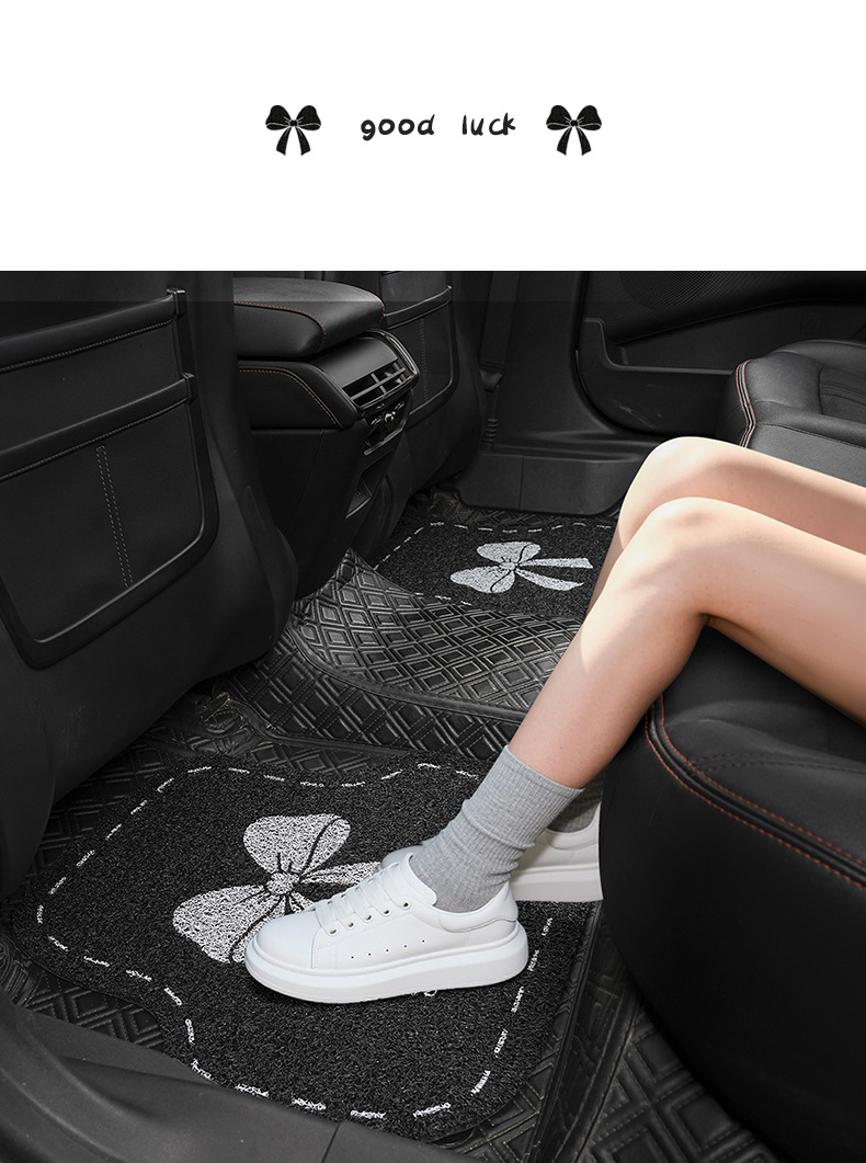 Blue Rain Universal Car Floor Mats, Non-Slip and Stain-Resistant Wire Ring Single-Piece Car Carpet, Anti-Dirty Main Driver's Car Floor Mats