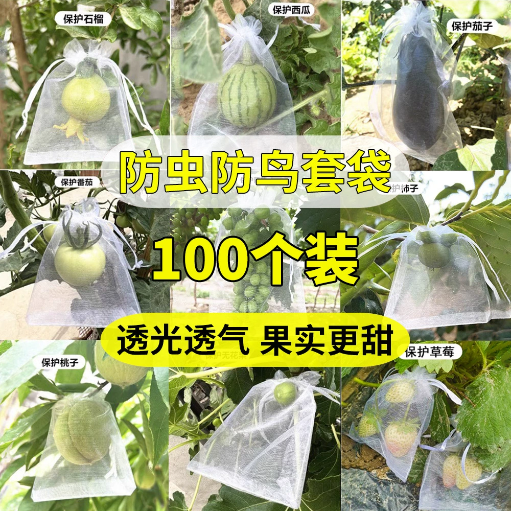 Спотовые фруктовые мешки Прозрачная дыня, фрукты и овощи против птиц