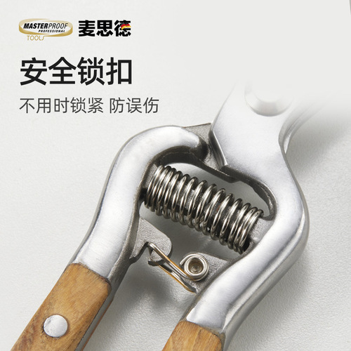 Germany (MASTERPROOF) MASTERPROOF garden shears, garden shears, pruning shears, fruit tree shears, fence shears, scissors