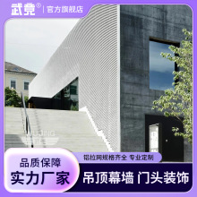 吊顶天花幕墙门头菱形拉伸铝合金金属铝网板鱼鳞龟甲六角孔网格网