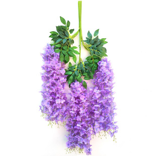 ����6�~�������پ껨���l�ٻ��������l�����L�ȵ���bGֲ