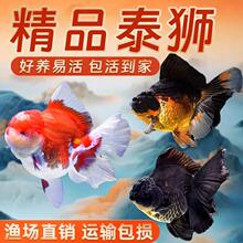 ̩ʨ�������С�͵�ˮ������ˮ�����������ˮ�����ͻ����������