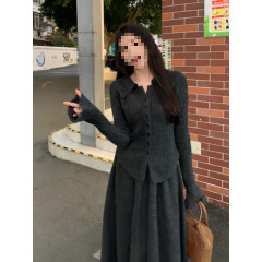 polo领针织毛衣连衣裙子女2025新款秋冬大衣内搭修身气质长裙套装