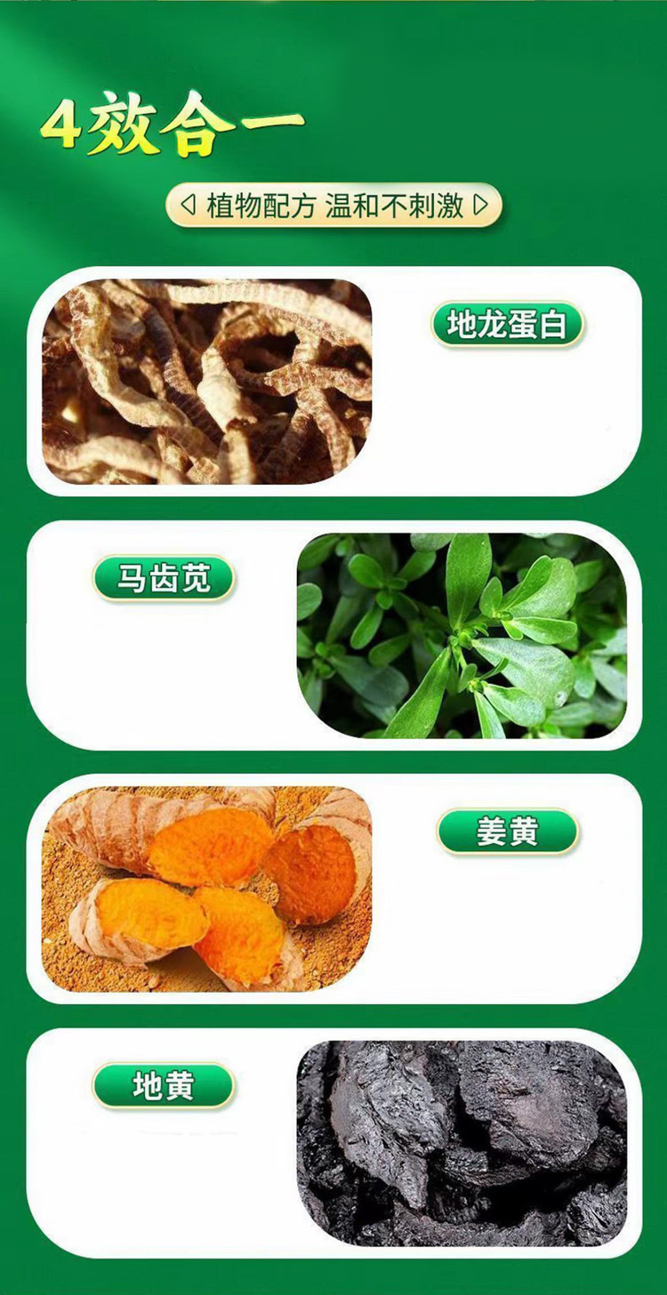 Purslane Earthworm Shuanghuang Tablets 36g Bottle Herbal Pressed Candy with White Kidney Bean Dietary Fiber in use