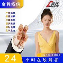工廠設備銅芯電纜線紫銅線電力工程中低高壓電纜YJV223*10紫國標
