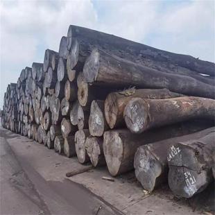 �M�ڴ�ڏ��t�Fľ �t�Fľԭľ �t�Fľľ��Ҏ�����m����~�Ų˰�