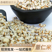 SlС޲ С޲߲ԭ ؛a؛Դ޲