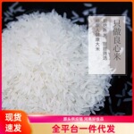 贵州农家栽种细长长粒香米适合干饭炒饭软糯香甜新鲜大米厂家批发