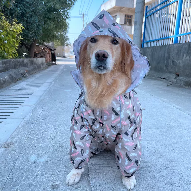 厂家定制大狗连体雨衣透气反光大帽四脚宠物雨披大码宠物衣服服装