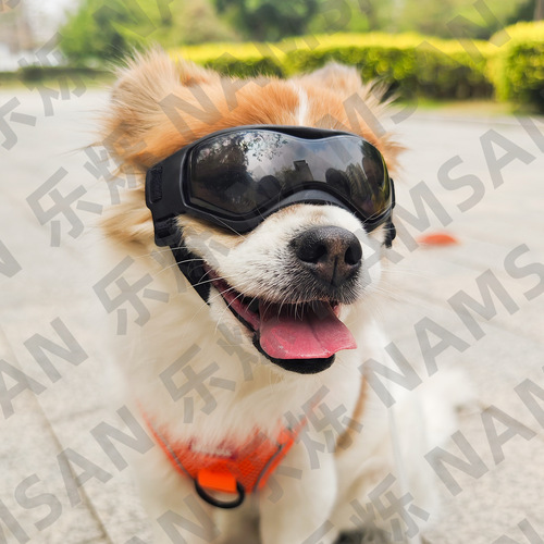 Pet Glasses New Cool Glasses Anti-UV Soft Frame Dog Goggles Cat Sunglasses Sunglasses