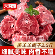 2.5캣ظϐ N򼹹ǟ㲻ā