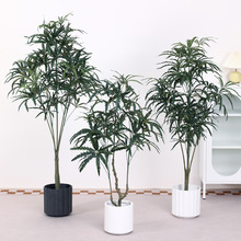 ȸľWLԿ͏dֲؔ[Gֲǧľ߷