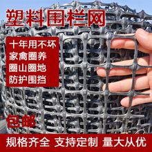 塑料养殖网圈养鸡鸭围栏网塑料网格防护网土工格栅玉米网厂家网孔