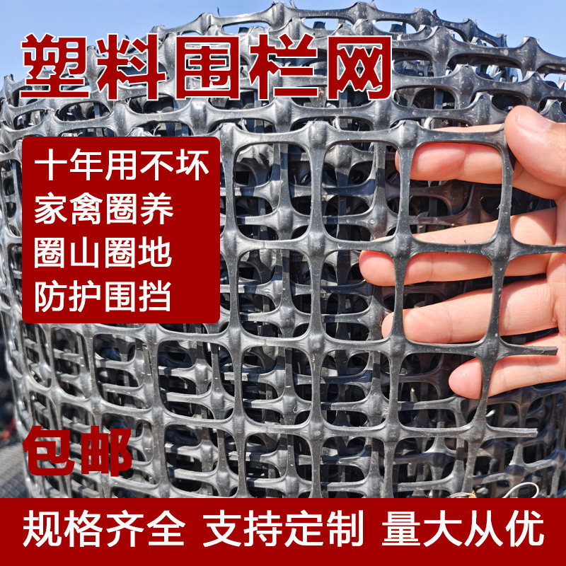 塑料养殖网圈养鸡鸭围栏网塑料网格防护网土工格栅玉米网厂家网孔