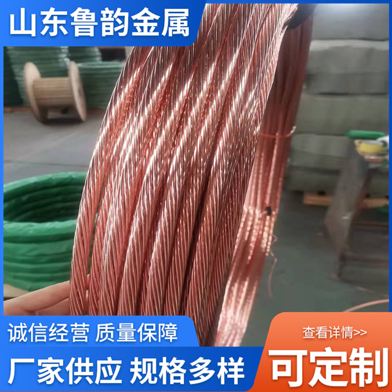 厂家硬铜绞线TJ50平方 镀锡铜绞线70mm2 铜覆钢绞线120mm2