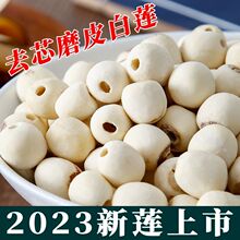 2023ɏ ɏӸ؛ ؼoɏrĥƤɏҰȥоɏl